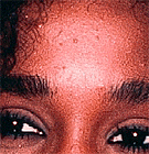 Skinema: Skinnies 2003 Whitney ...