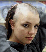 Free amateur web cam communities Facial golden ratio freeware